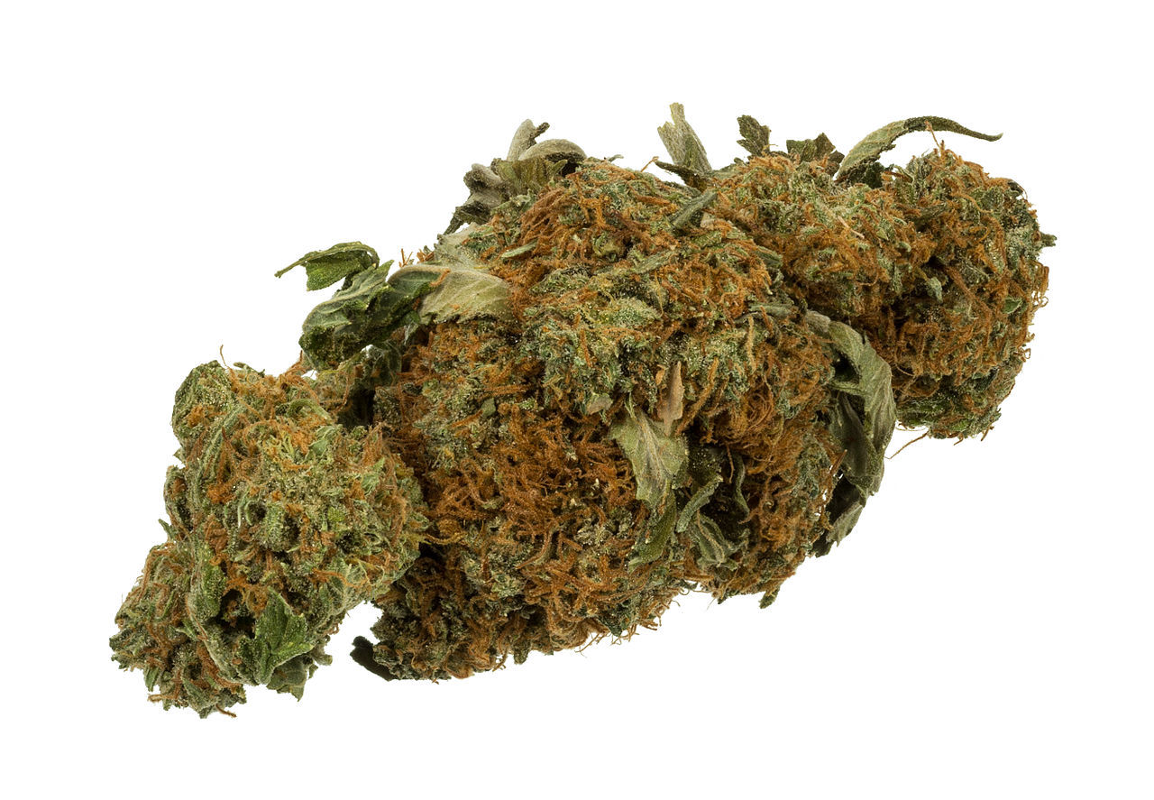 marijuana
